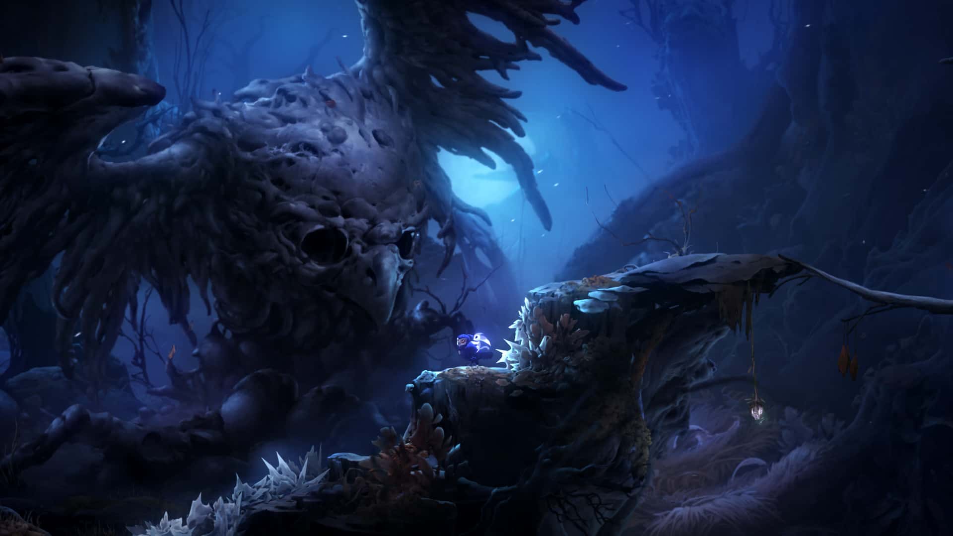奥日与鬼火意志 精灵与萤火意志 Ori and the Will of the Wisps B.5780606 中文版插画